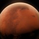 NASA, şimdi de Mars'ta "mantar" buldu